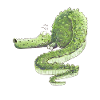 Funny Crocodile I Wildlife Animals