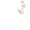 Frettchen Ferret Frettchenliebhaber