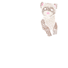 Frettchenbesitzer Frettchenliebhaber
