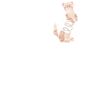 Frettchenliebhaber Frettchenbesitzer