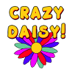 Crazy Daisy!