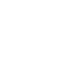 Édition limitée 1999