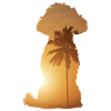 Plage d’été - Caniche