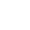 Limited Edition 1993