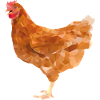 Poulet