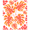 Plantes Cadeau Feuilles Tropicales Monstera