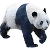 Ours panda géant