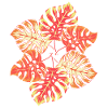 Tropical Monstera Deliciosa feuilles Monstera