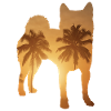 Summer Beach - Shiba Inu