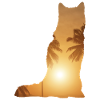 Plage d’été - Siberian Husky