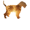Summer Beach - Wheaten Terrier