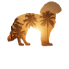 Sommer Beach - Yorkshire Terrier