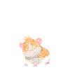 Hamster love Hamster lovers
