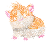 Hamsterliebe Hamster Goldhamster Nager