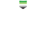 LGBTQ Aromantic Pride Flag Pocket