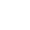 Jellyfish Aquarium Jellyfish Jellyfish Jellyfish