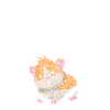 Hamsterliebe Hamster Goldhamster