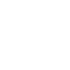 German Shorthair "Black Edition"