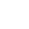 Requin Grand requin blanc