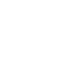 Magyar Vizsla « Édition Noire »