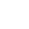 Magyar Vizsla Tête « Black Edition »