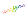 DNA Helix Arcobaleno Genetica Calisthenics Colorato