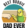 Budgerigar