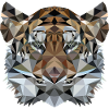 Tiger polygon Wild