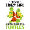 Tortoises