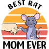 Rats Pets