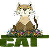 Gatto