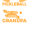 Pickleball Grandpa Pickleball Player