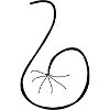 octapus version