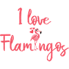 I Love Flamingos