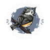 Bird Birds