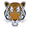 Tiger motif