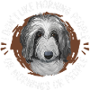 Chien de berger anglais