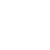 Box-A-Pug Mom