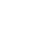 Briquet Griffon Vendeen Maman