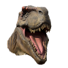Roar!!