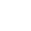 American Hairless Terrier Dad