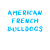 Bouledogue Français américain