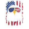 Eagle USA Flag