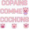 COPAINS COMME COCHONS