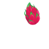 Dragon Fruit Pitaya
