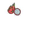 Dragon Fruit Farmer