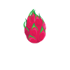 Dragon Fruit Whisperer
