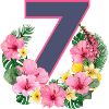 Summer birthday girls 7
