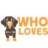 Teckel Teckel Mama Teckel Pet