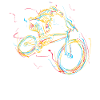Descente VTT VTT DH
